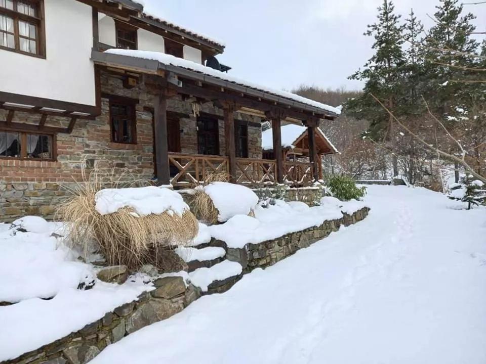 Traditional Cottage - Vila Samovila Delcevo Ngoại thất bức ảnh